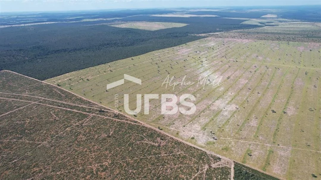 Fachada do Fazenda completa em Paranatinga com 4.532 hectares — estrutura pronta para pecuária e agricultura, 2.800 ha abertos, 500 ha plantando e localização estratégica para expansão de soja